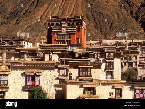 De Tashilhunpo Monastery: Een Monumentale Boeddhistische Tempel en een Historische Schatkamer!